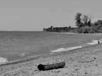 62944RoCrLeReShBw - Lunch on the beach at Darlington Provincial Park   Each New Day A Miracle  [  Understanding the Bible   |   Poetry   |   Story  ]- by Pete Rhebergen